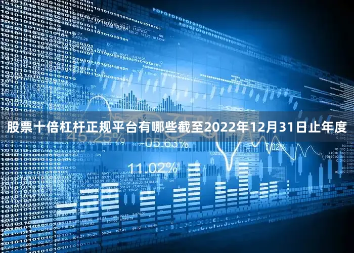 股票十倍杠杆正规平台有哪些截至2022年12月31日止年度