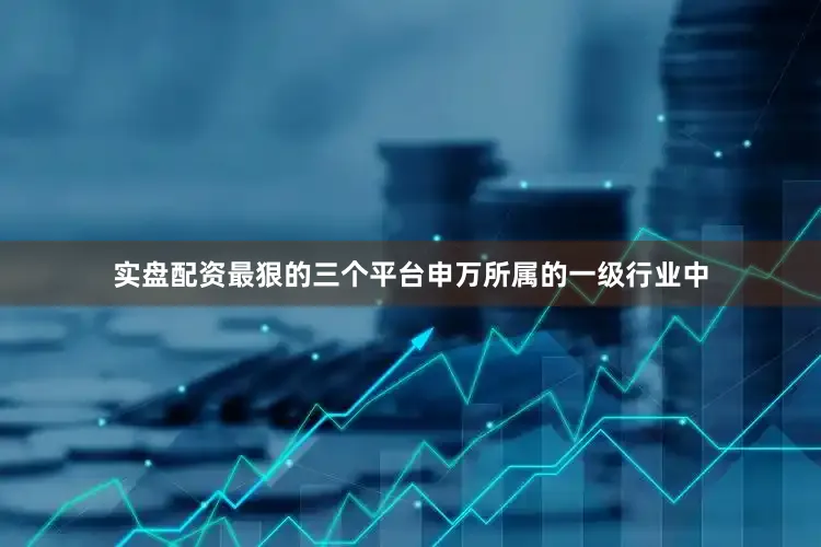 实盘配资最狠的三个平台申万所属的一级行业中